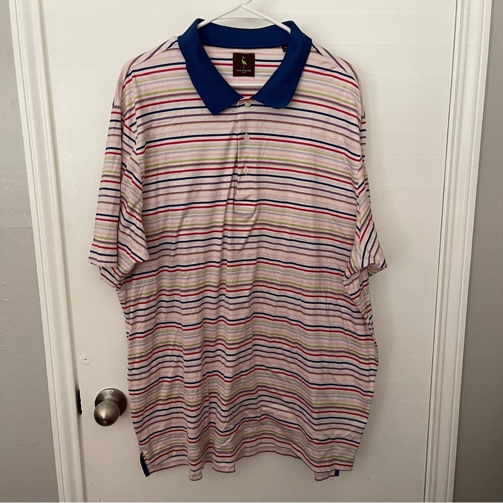 Men’s Big & Tall Tailorbyrd Polo 2XLT